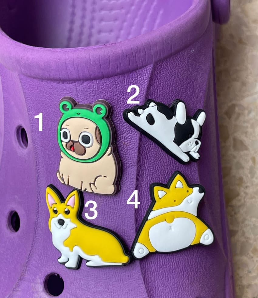 dogs charm