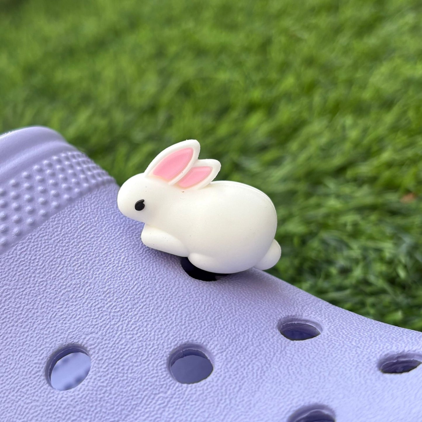 Rabbit 3D CHARM