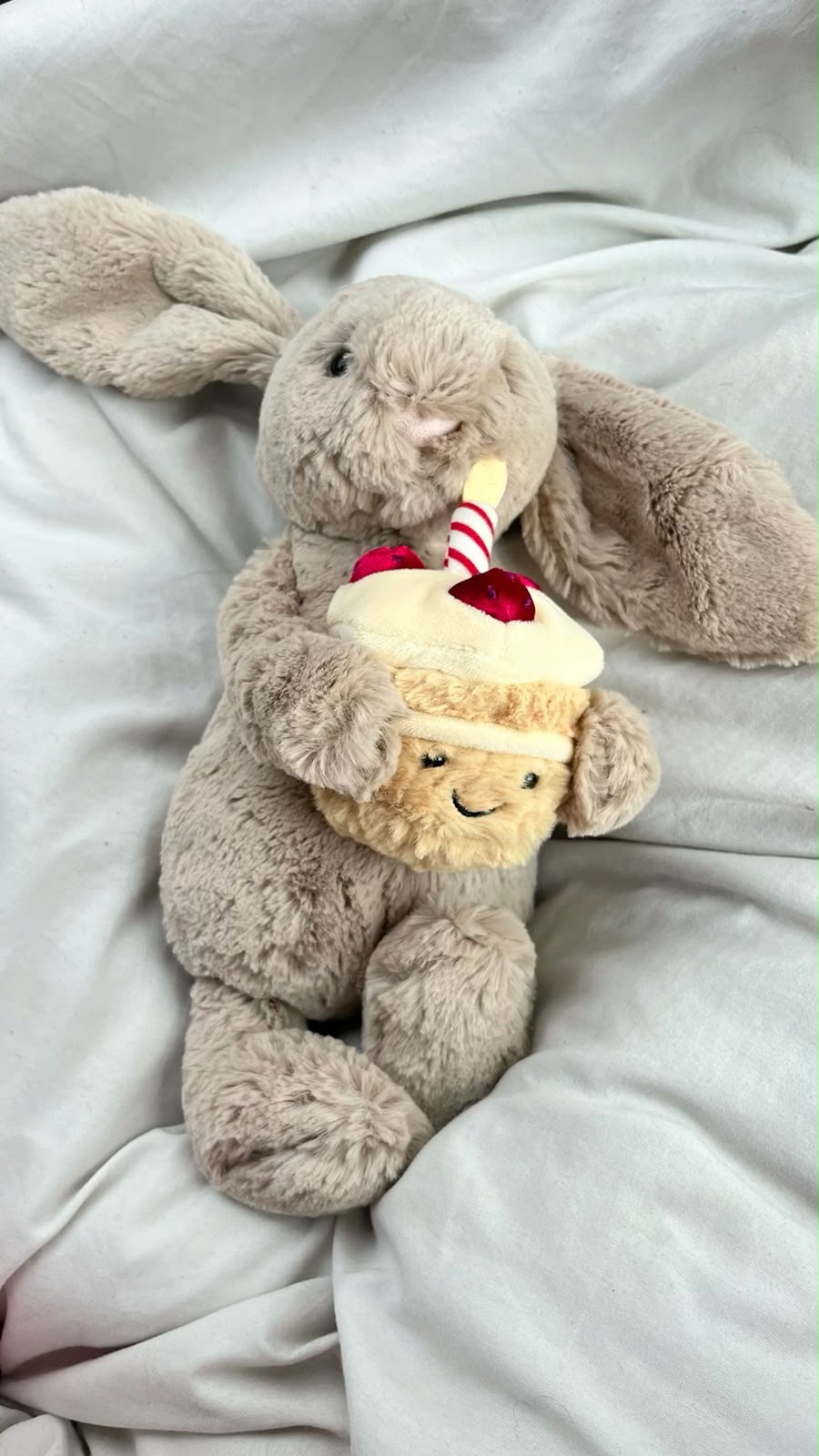 Plush Birthday Bunny with Cupcake – Cute Stuffed Animal Gift - 30 cm