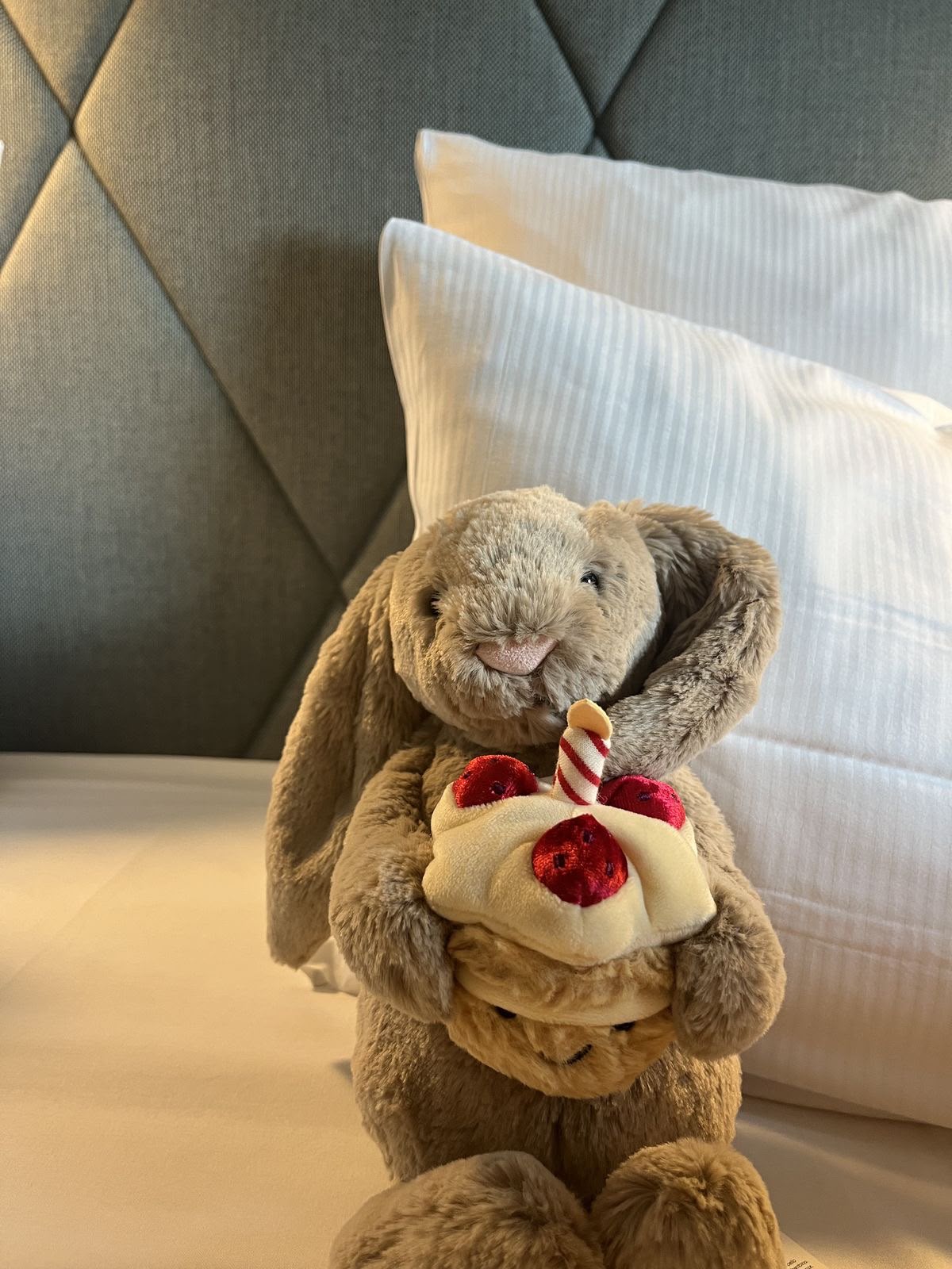 Plush Birthday Bunny with Cupcake – Cute Stuffed Animal Gift - 30 cm