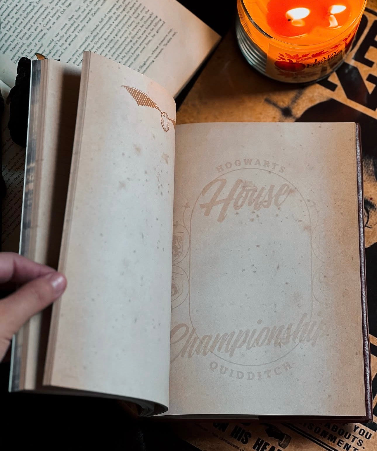 Harry Potter Golden Snitch Notebook
