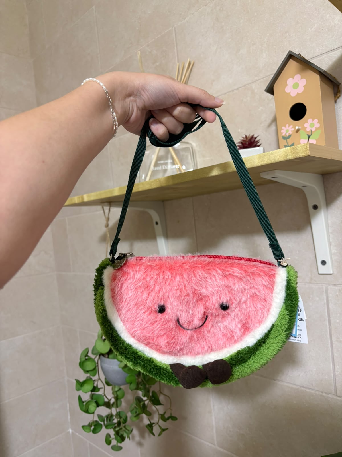 Plush Watermelon Crossbody Bag