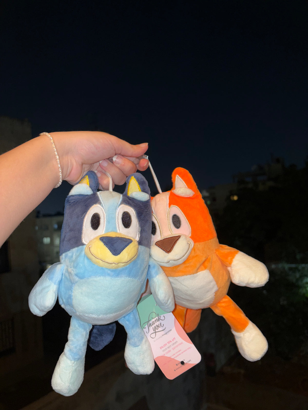 Bluey and Bingo Plush - 20 cm