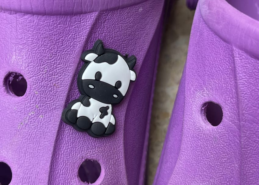 cow charm