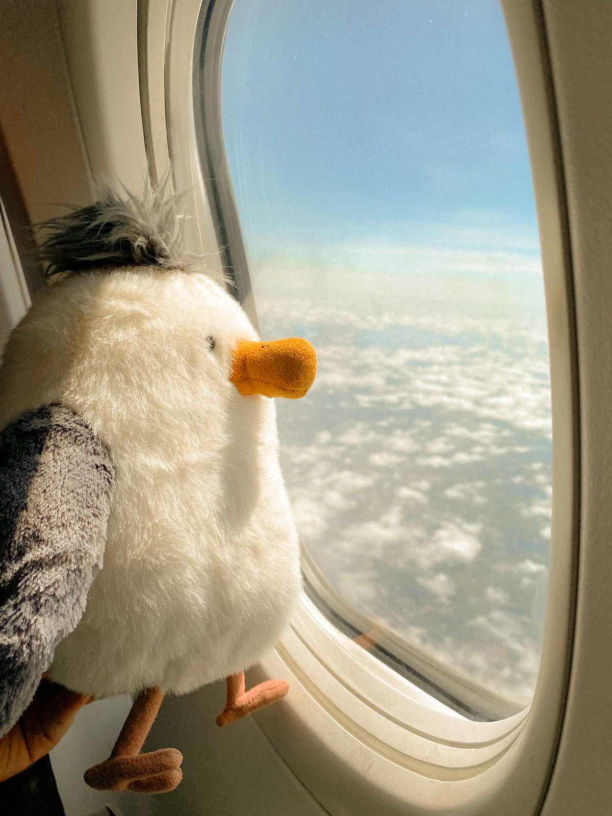 Seagull plush toy - 25 cm