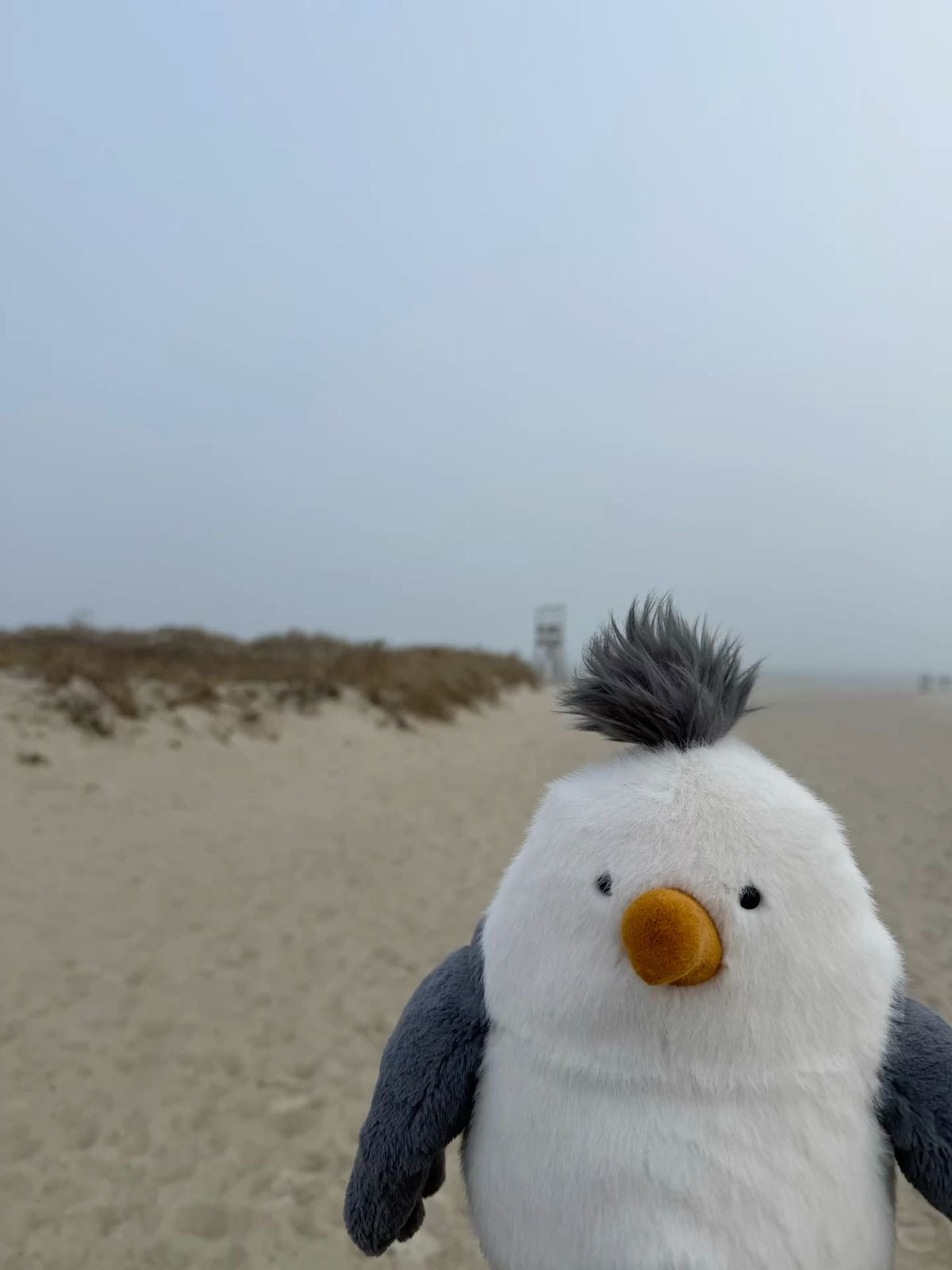 Seagull plush toy - 25 cm