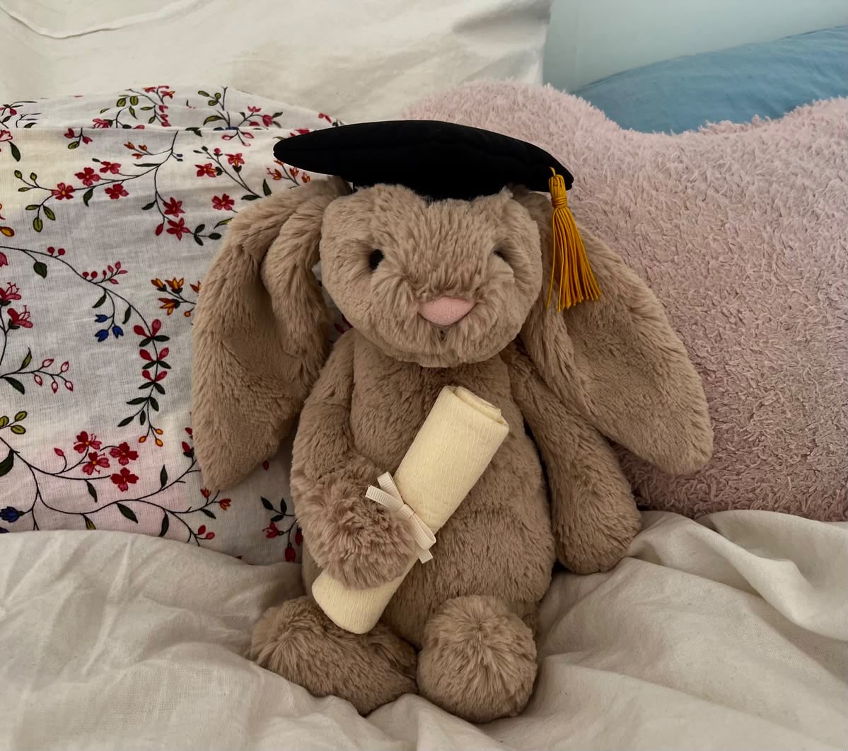 A 30 cm cute plush graduation bunny holding a degree and wearing a mortarboard cap.03