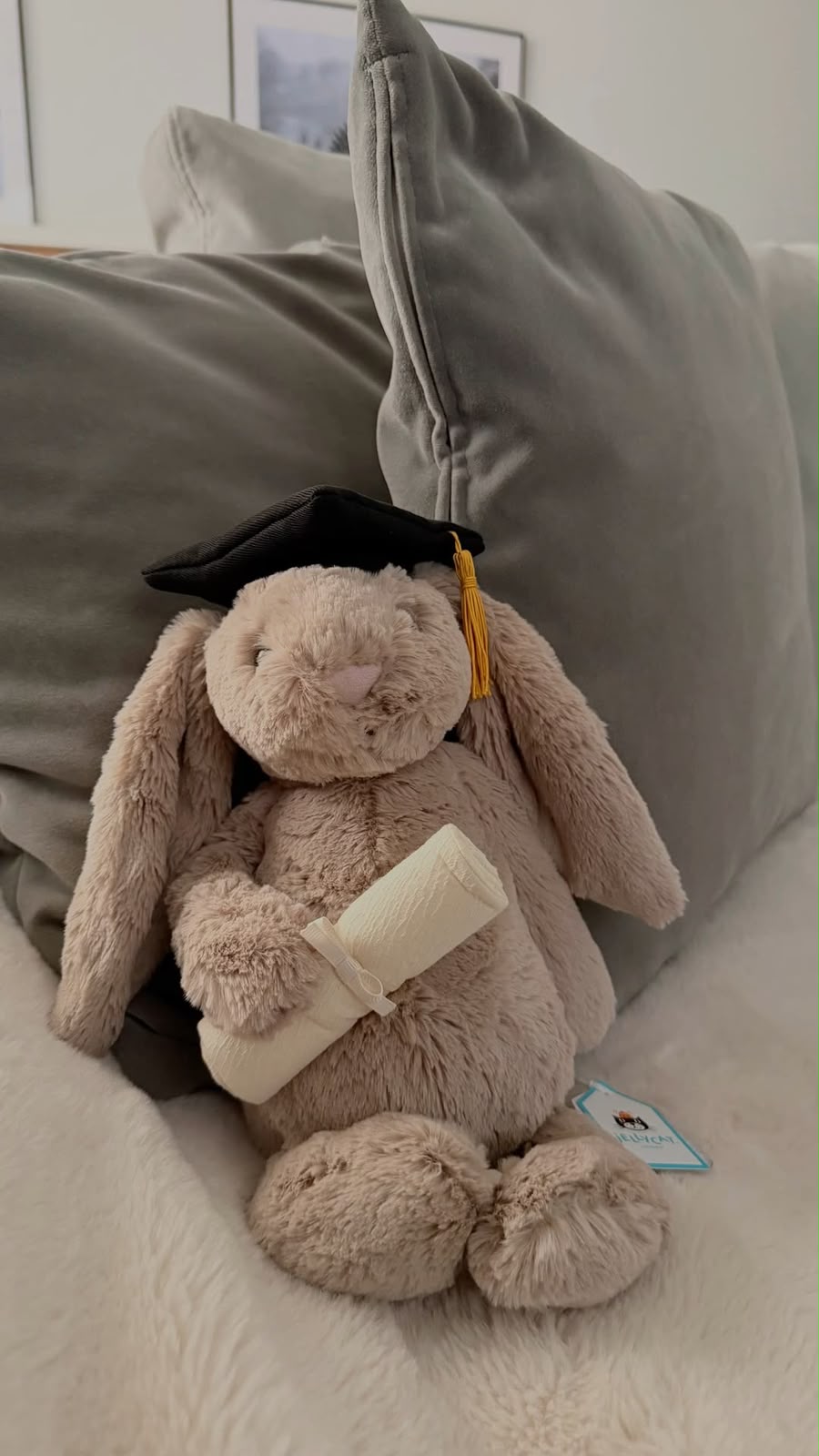 A 30 cm cute plush graduation bunny holding a degree and wearing a mortarboard cap.06