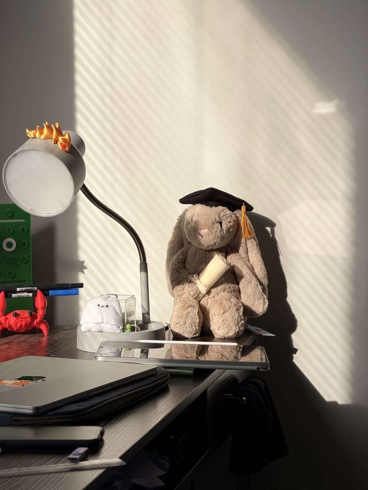 A 30 cm cute plush graduation bunny holding a degree and wearing a mortarboard cap.08
