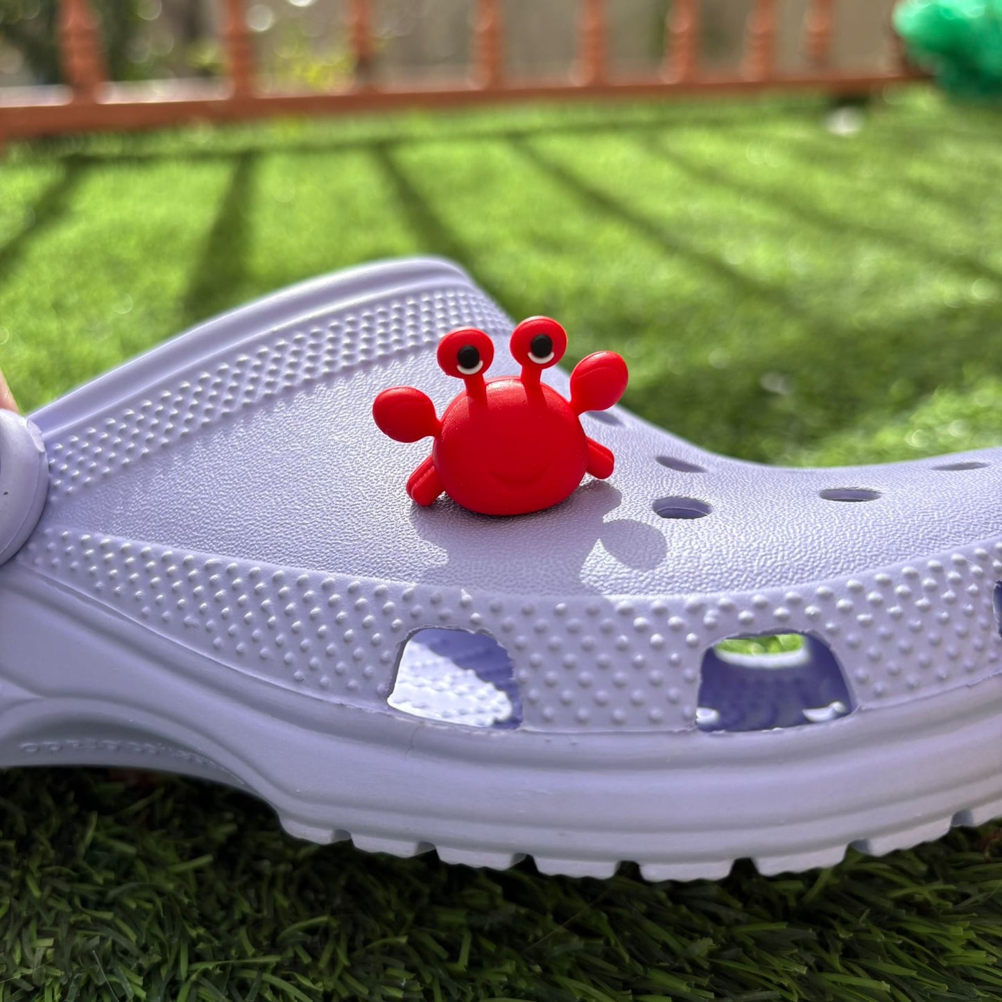 Crab 3D CHARM