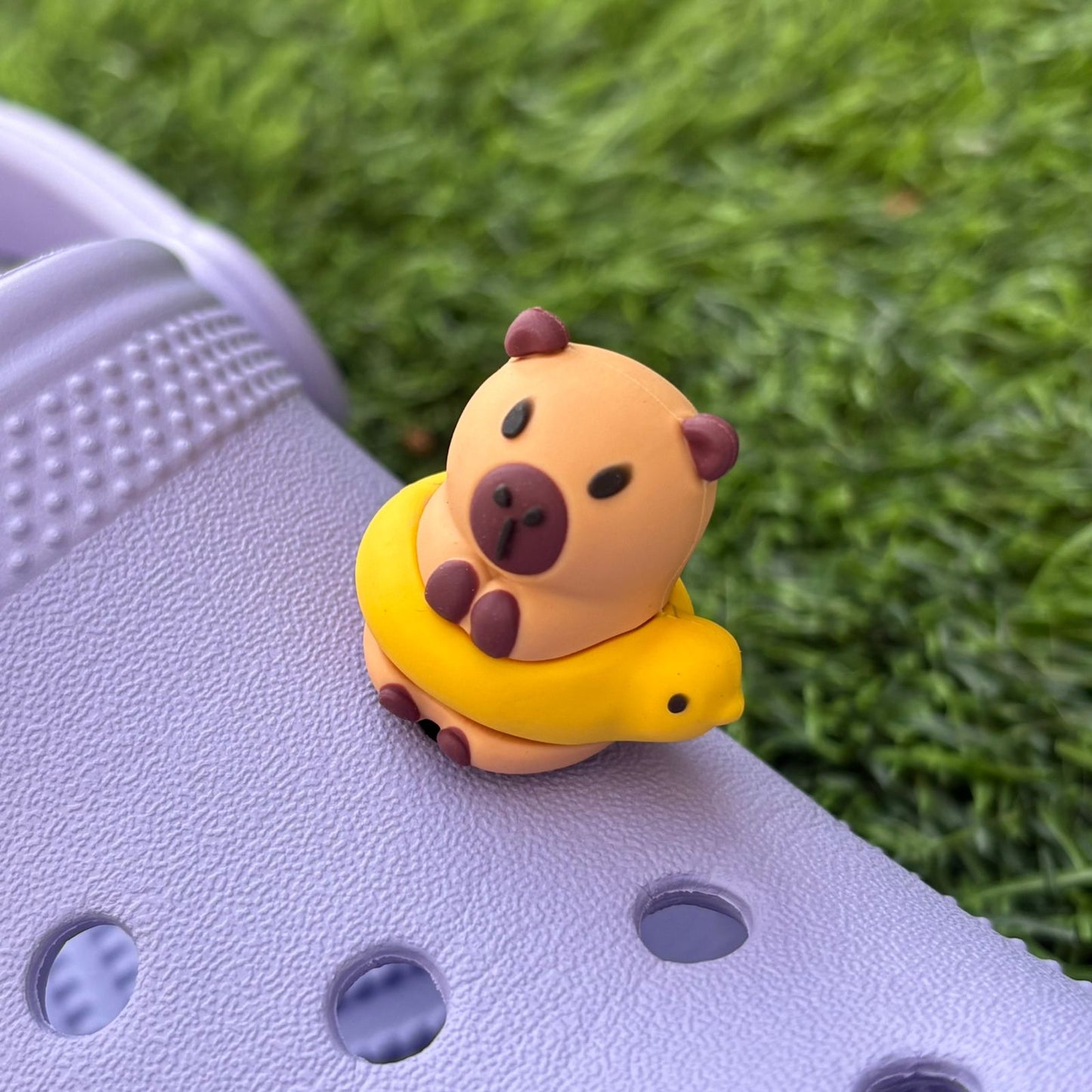 Capybara 3D CHARM
