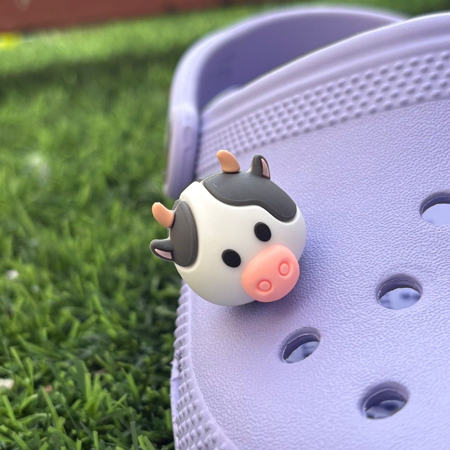 Cow 3D CHARM