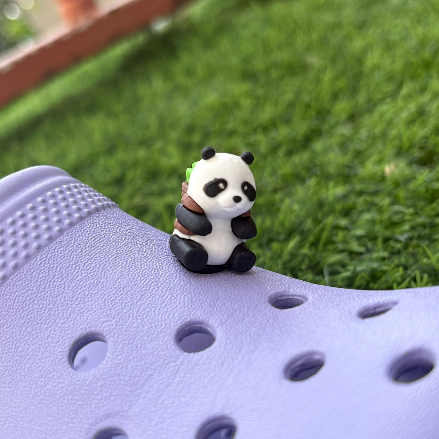 Panda 3D CHARM