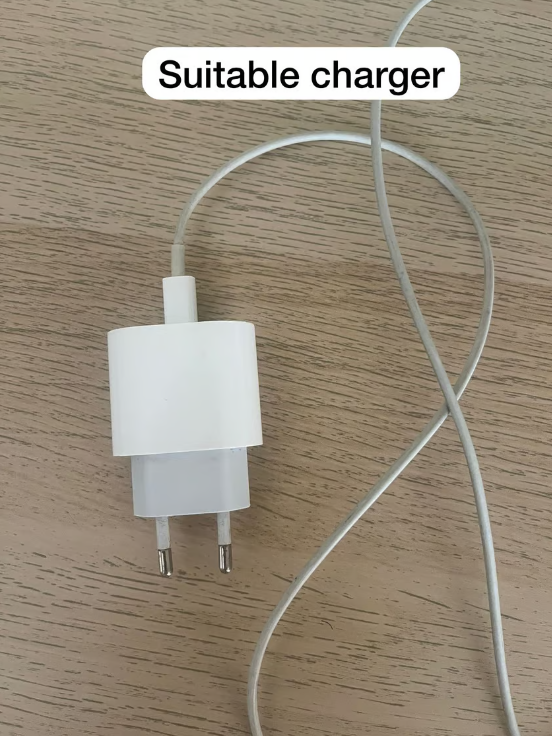 Dinosaur charger protector - Close Up | Pinky Promise