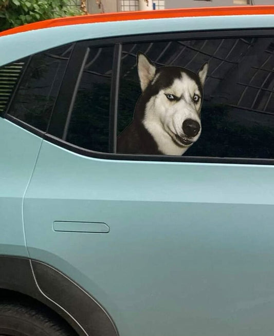 Buy dog car sticker at Pinky Promise
