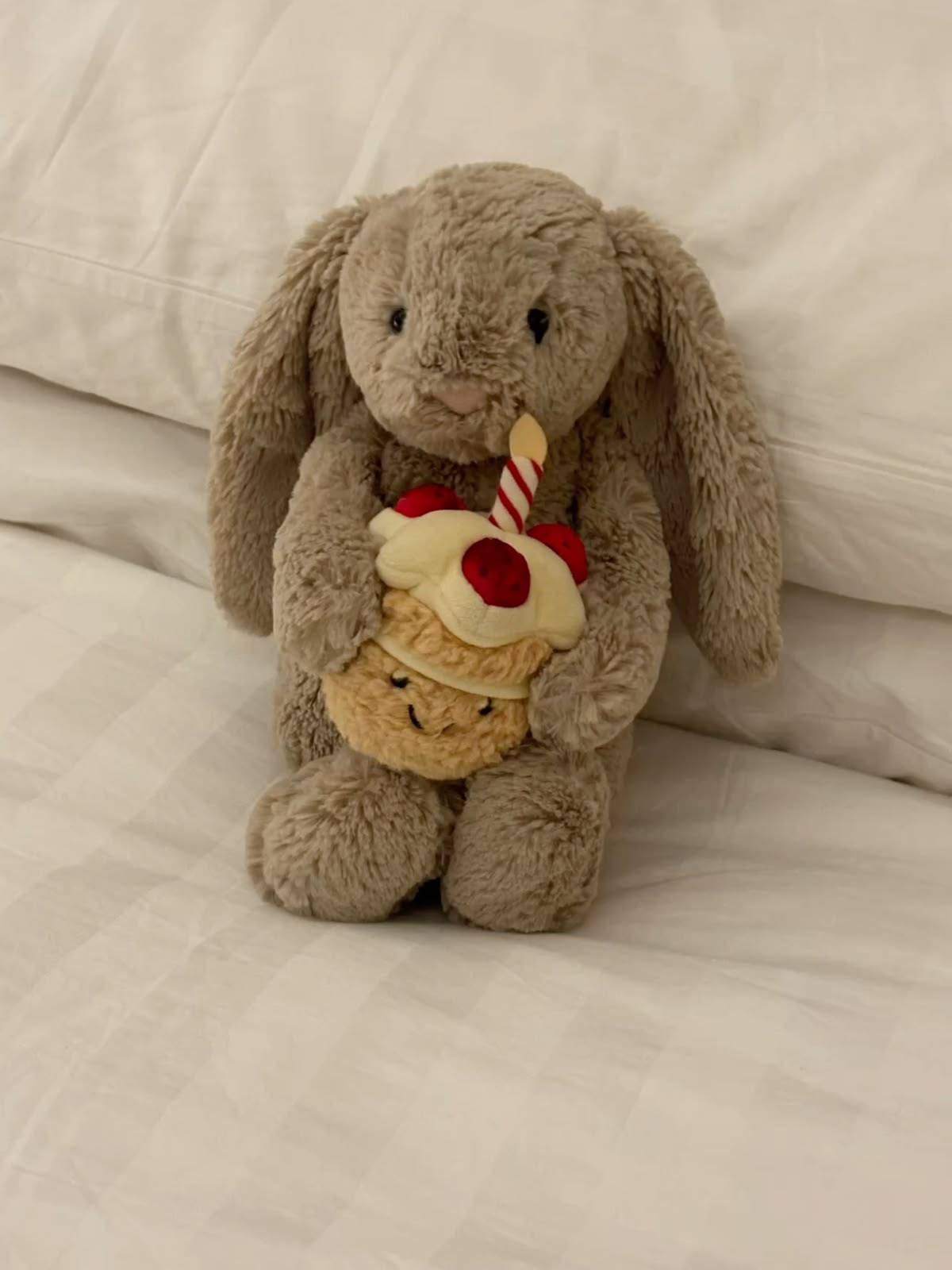Plush Birthday Bunny with Cupcake – Cute Stuffed Animal Gift - 30 cm - Photo 5 | Pinky Promise
